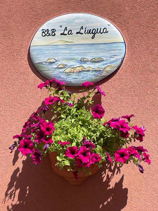 b&b La Lingua Procida Esterno foto